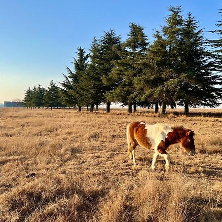 Merino Stal Guest Farm Ermelo Exterior photo