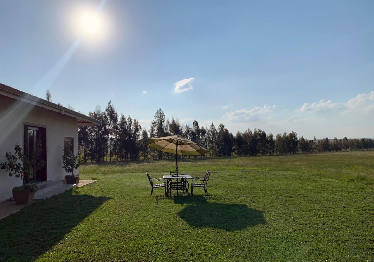 Merino Stal Guest Farm Ermelo Exterior photo